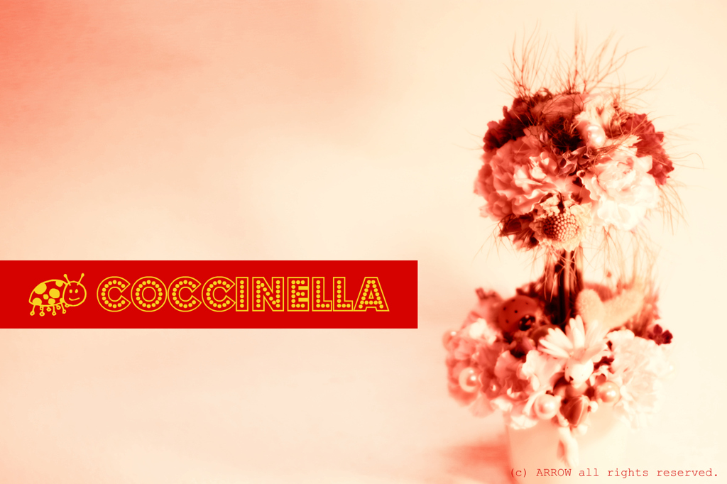 Coccinella