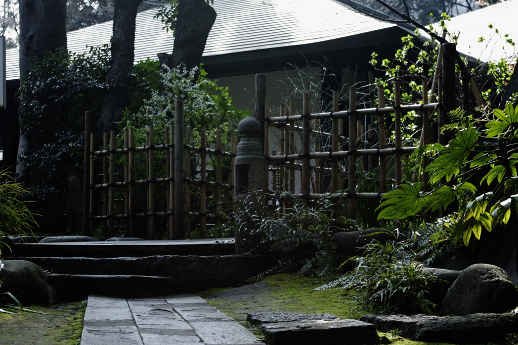 the 庭