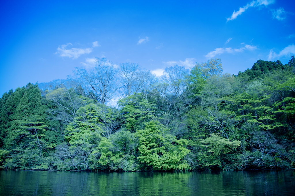 ダム湖の風景