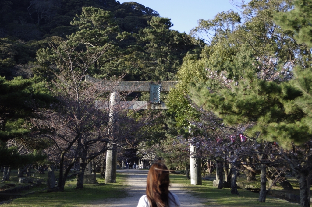 志都岐山神社の鳥居