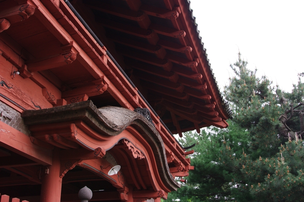 朱