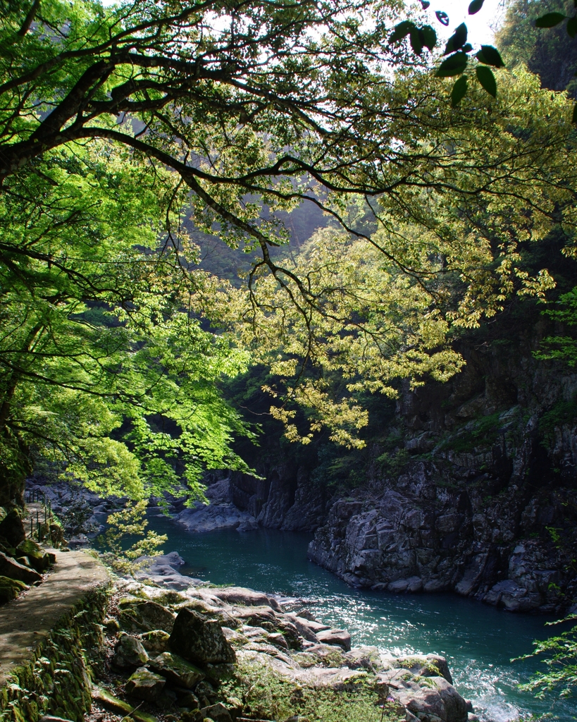 名勝　長門峡