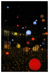 夜のキノコ狩り･･･