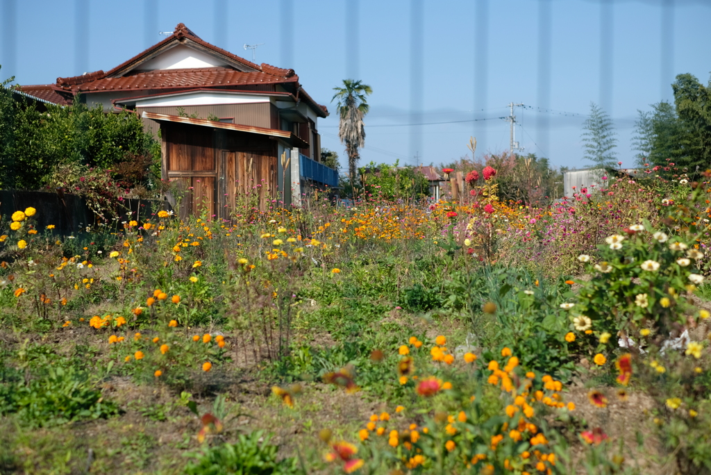 蘇ってくる時間･･･