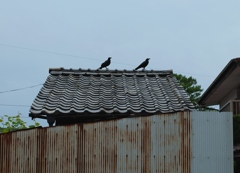 国歌斉唱