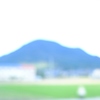 秋色のはずが･･･