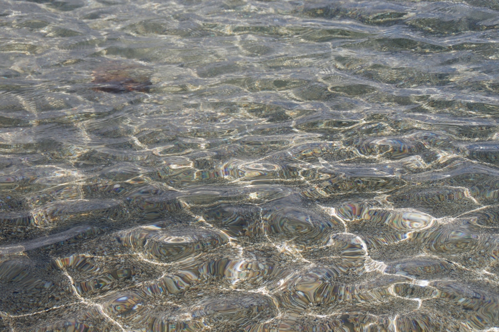 IMGP0628-1