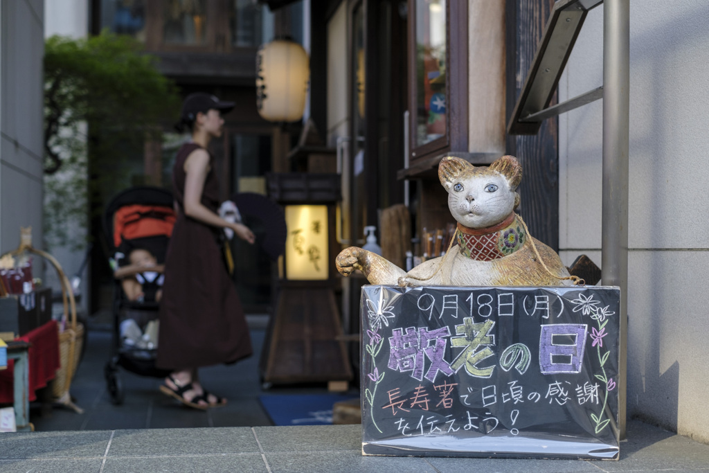 看板ネコだにゃ