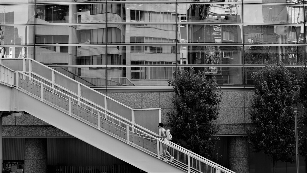 夏の妖精･･･
