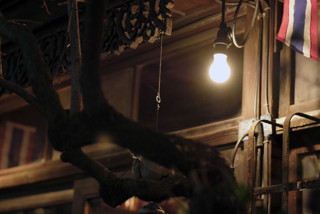 東京のデンキ玉-202202