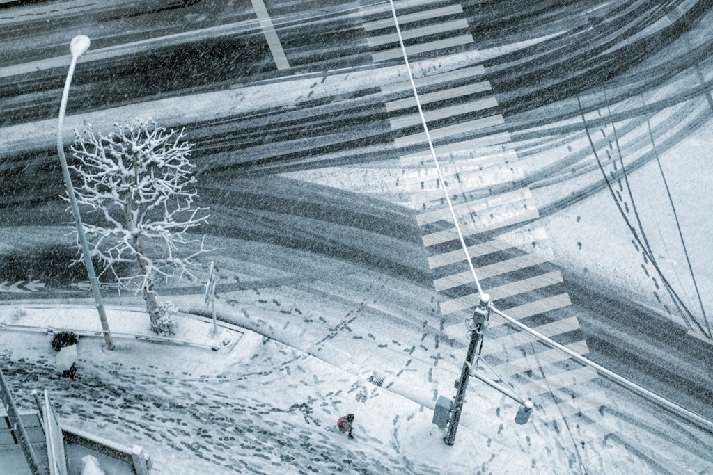 東京で見る雪は･･･