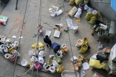 上海ハトをめぐる冒険-①