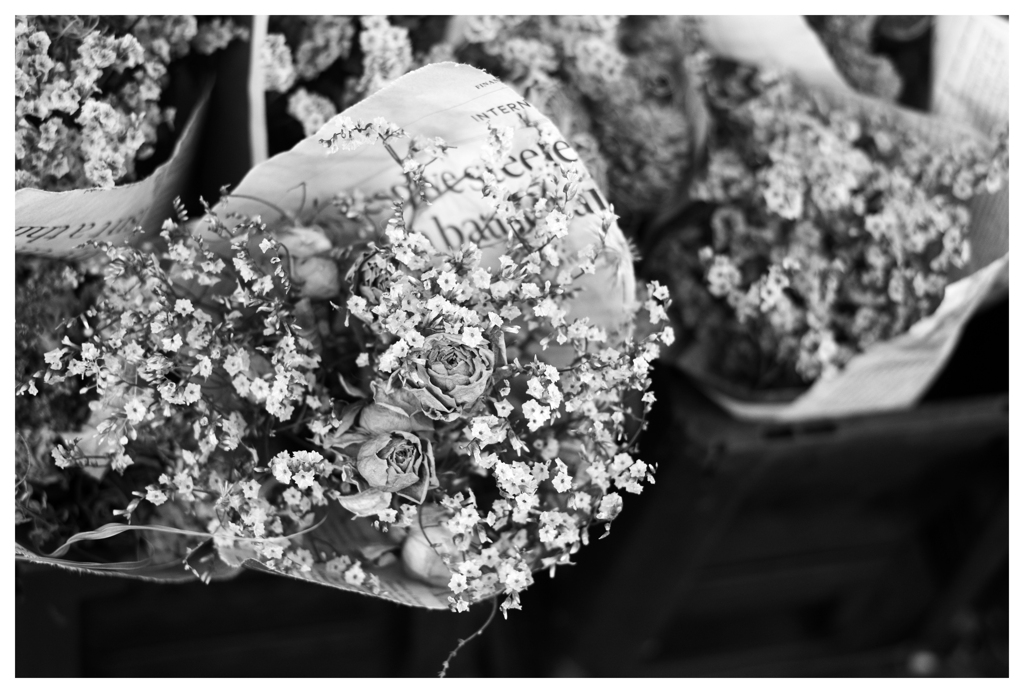 十一月の君へ･･･