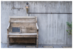 余韻ふたたび･･･