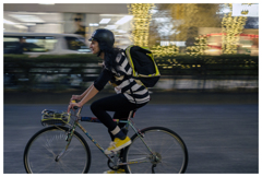 12月の街はイエロー推しなのだ。