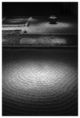 トーキョーズ ワビ＆サビー202601