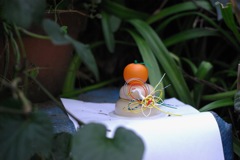 2016おめでとうございます