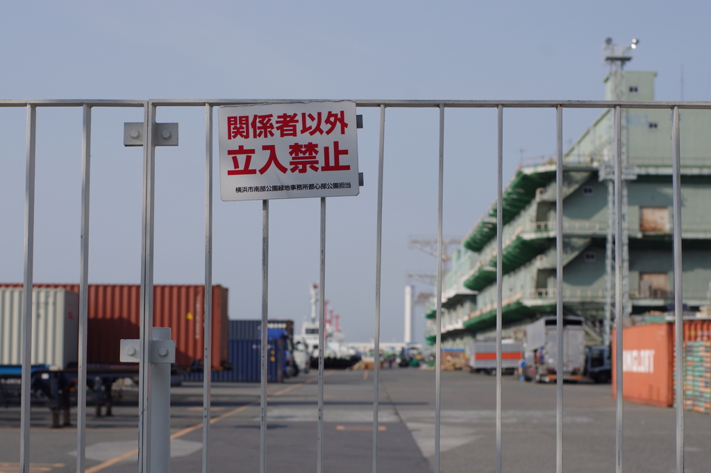 横浜-18