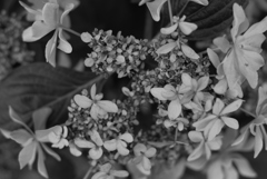 Ｐ×ACROS-④