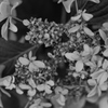 Ｐ×ACROS-④