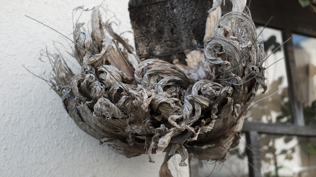 風に吹かれて･･･