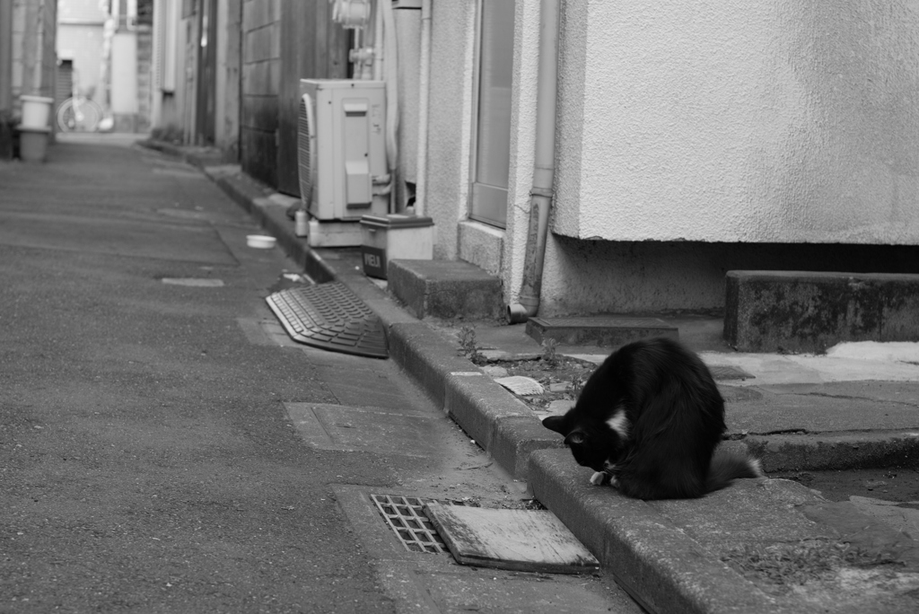 Ｐ×ACROS-⑤