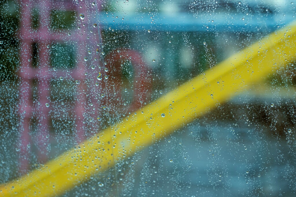 雨の日の午後･･･
