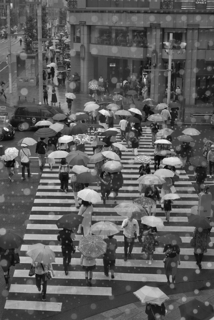 冬が来る前に･･･