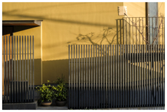 冬の太陽は 長い影を作ってくれる。