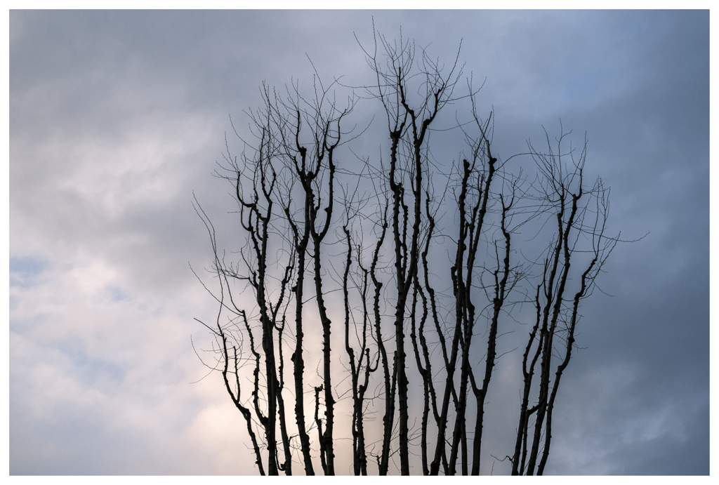 春まであといくつ･･･