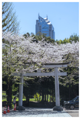 違和感を通り越して･･･