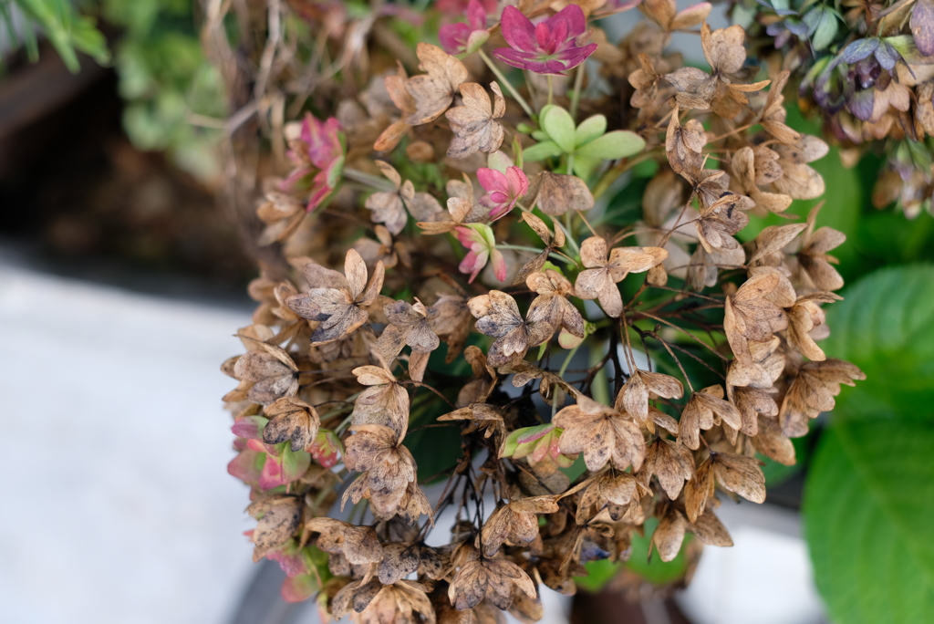 祭りの後･･･