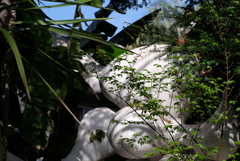 太郎の見た夢・・・