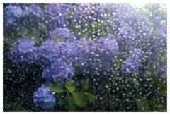 六月ノ雨ノ詩。