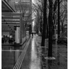 雨の日をモノクロで撮る。