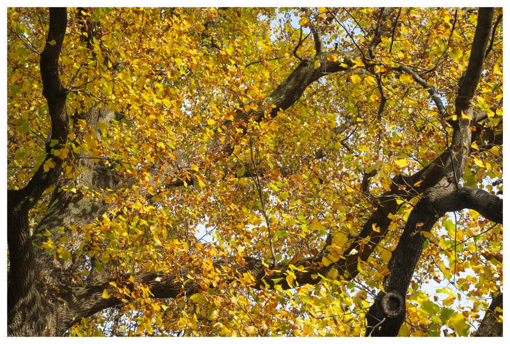 トーキョーズ パレット-202511