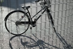 春になったら･･･