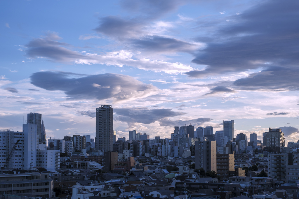 夕暮れの空を泳ぐ･･･