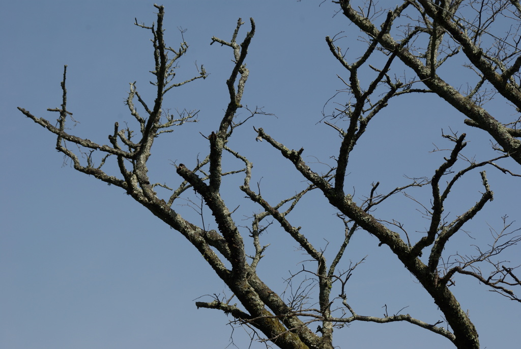 古都へのたび-⑭