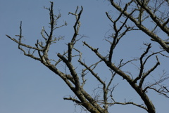 古都へのたび-⑭