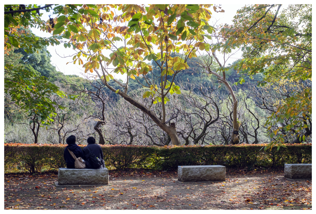 十一月のふたり･･･