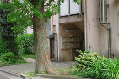 青山北町アパート-②