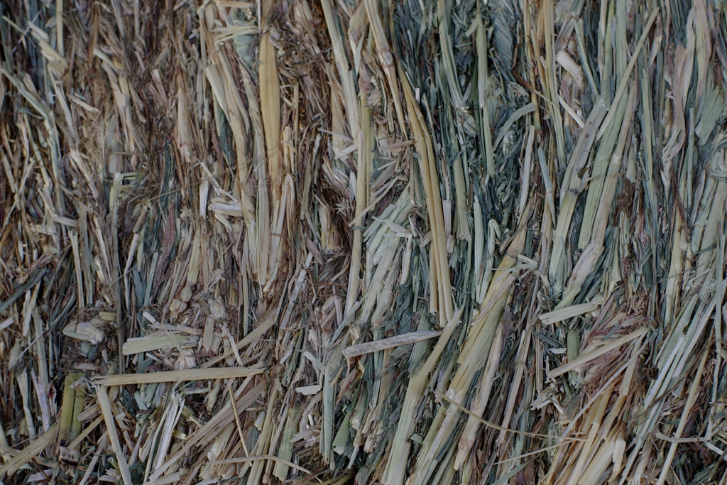 干し草のかたち-⑤