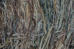 干し草のかたち-⑤