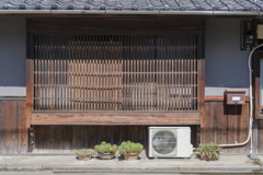 サボテンは暑くても平気なの？