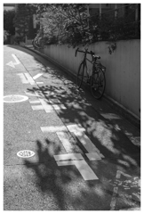 坂道の途中で･･･