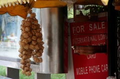 上海むしかご-③