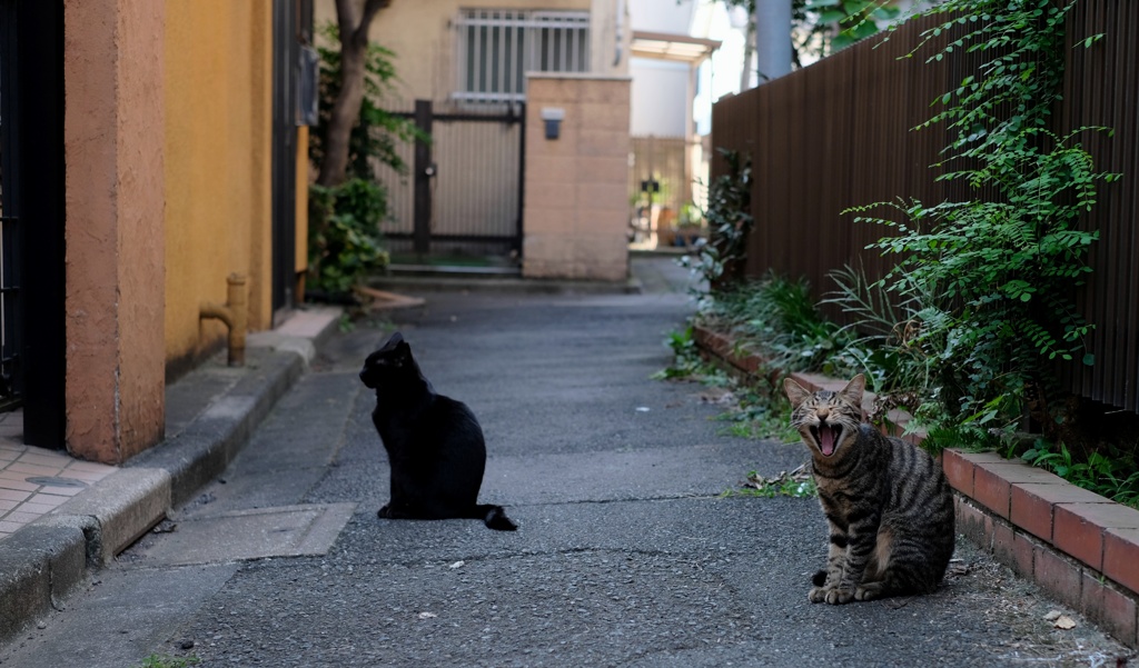ちょと寝不足･･･