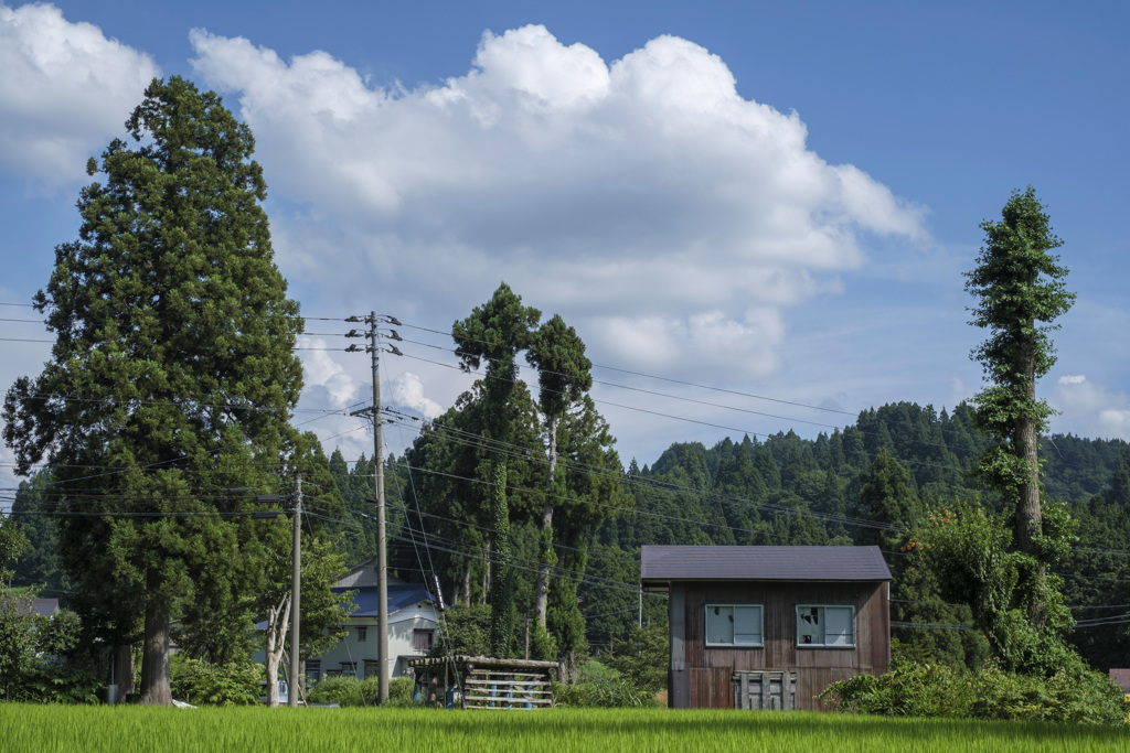 初めてなのに懐かしい･･･