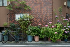 トモ、キタル･･･